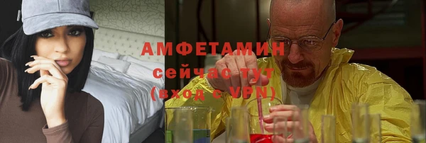 сатива Арсеньев