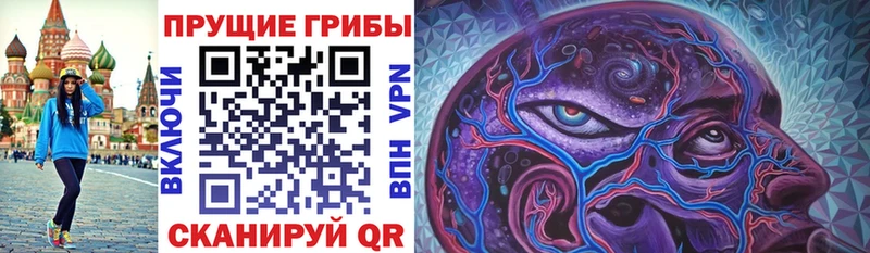 Псилоцибиновые грибы Psilocybe  Бавлы 
